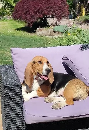 Bed & Breakfast La Parenthese Entre Abbaye Et Venise Verte 3*