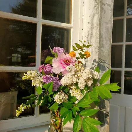 La Parenthese Entre Abbaye Et Venise Verte 3*