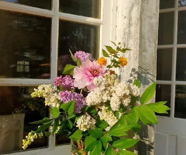 La Parenthèse Entre Abbaye Et Venise Verte 3*